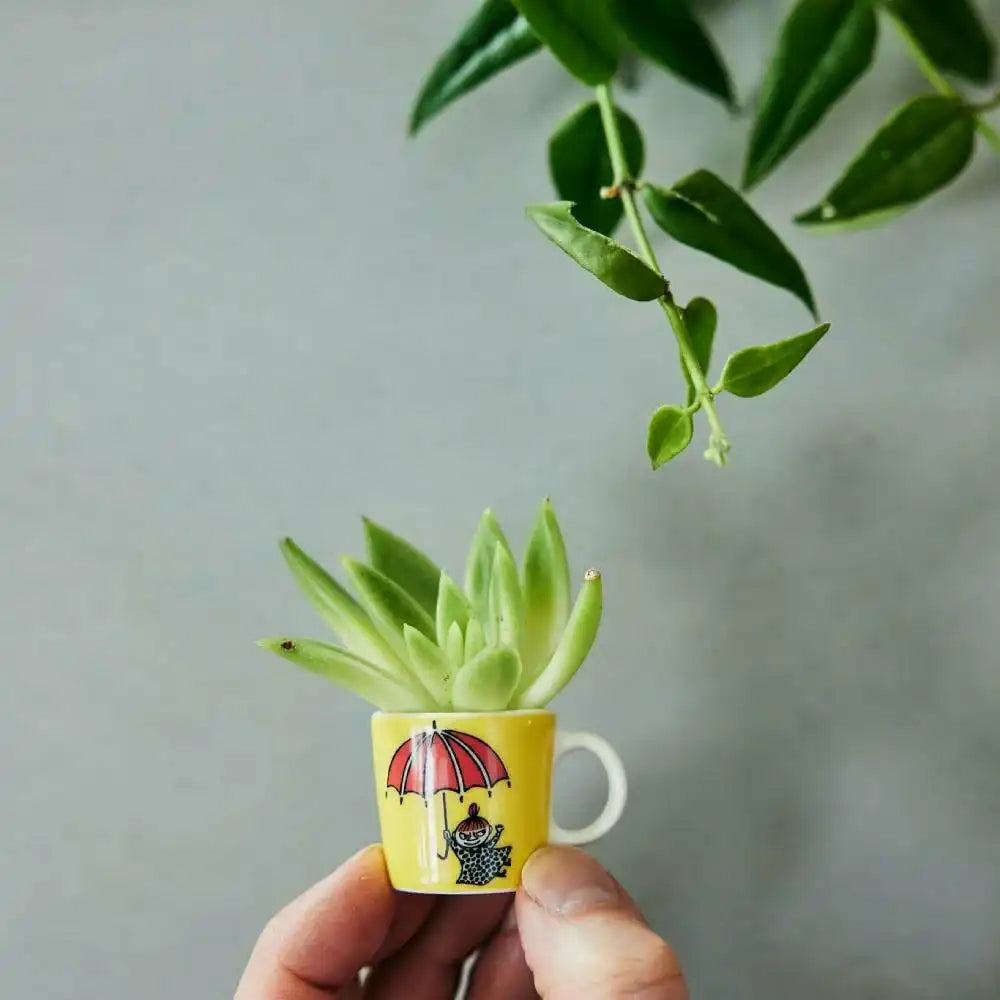 Mummi Mini Kopper sett av 6 - Moomin Arabia