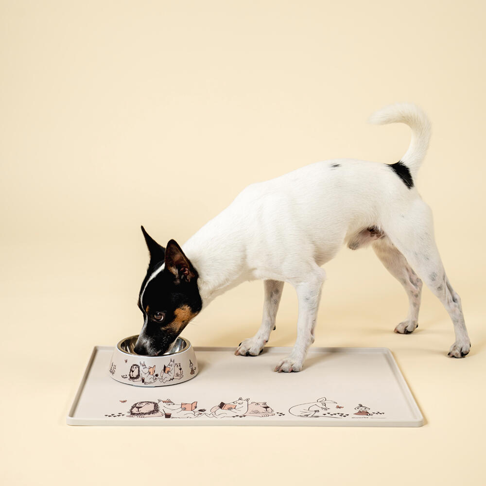 Mummi Pets Matskål Moments Beige S Muurla